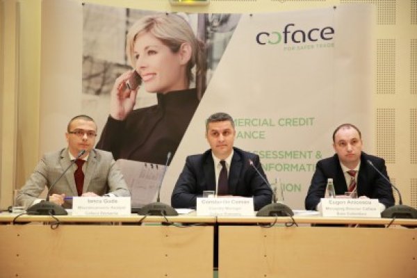 Economia României va rămâne pe o tendinţă crescătoare în 2014